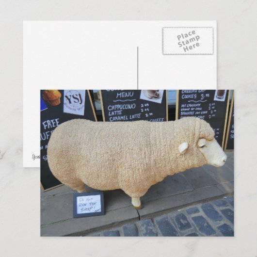 Street Sheep Briefkaart (Voorkant / Achterkant)