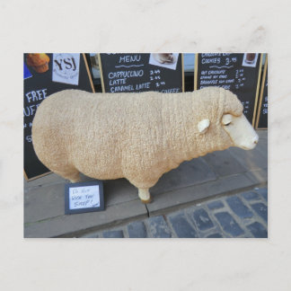 Street Sheep Briefkaart