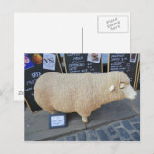 Street Sheep Briefkaart (Voorkant / Achterkant)