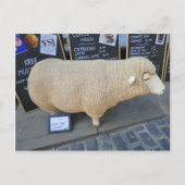 Street Sheep Briefkaart (Voorkant)