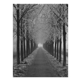 Street winter perfect poster