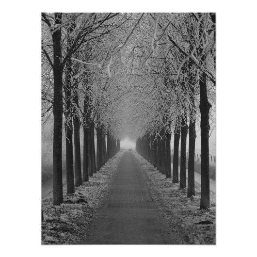 Street winter perfect poster (Voorkant)