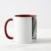 Streetcar New Orleans-snow 2008 Mok (Links)