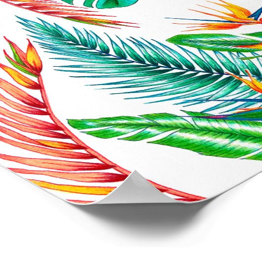 Strelitzia - Bird of Paradise Poster (Hoek)