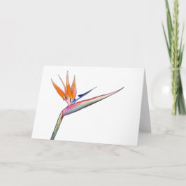 Strelitzia Card Feestdagen Kaart