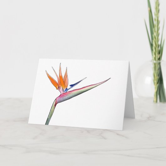 Strelitzia Card Feestdagen Kaart (Voorkant)