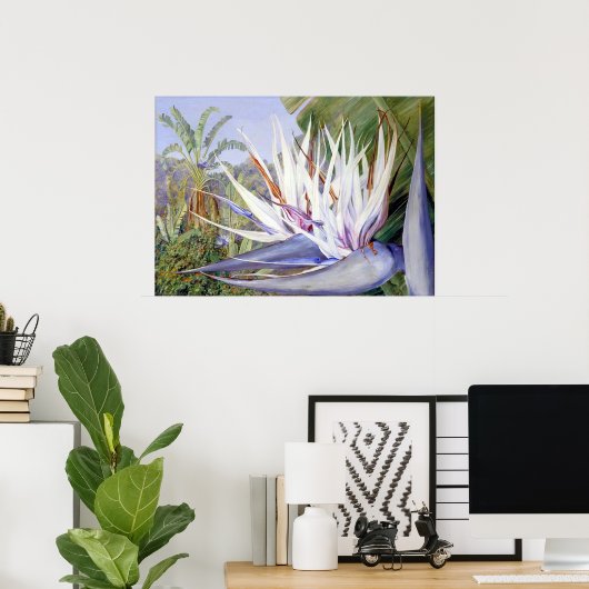 Strelitzia door Marianne North - Exotisch landscha Poster (Thuiskantoor)
