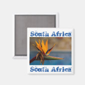 Strelitzia Flower South Africa Natuur Magnet (Voorkant / Achterkant)