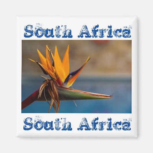 Strelitzia Flower South Africa Natuur Magnet (Voorkant)