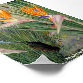 Strelitzia Flowers en Sugar Birds Marianne North Poster (Hoek)