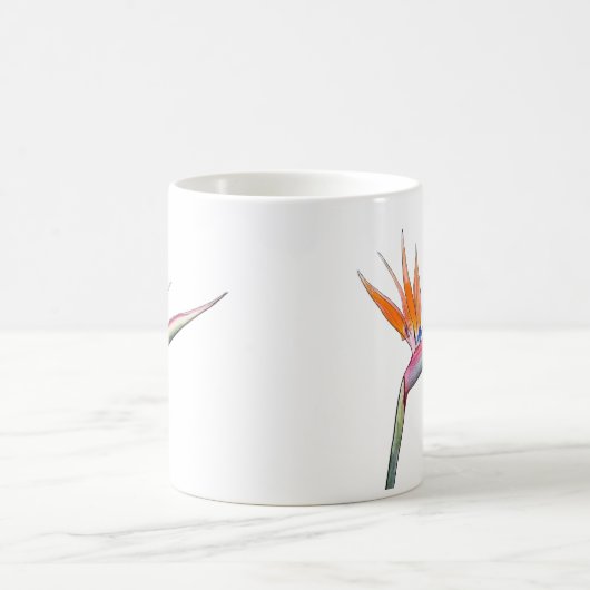 Strelitzia mok (Center)