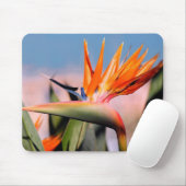 Strelitzia Muismat (Met muis)