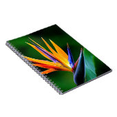 Strelitzia. Paradijsvogelbloem. Notitieboek (Rechterzijde)