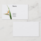 Strelitzia Reginae en riet Visitekaartje (Voorkant / Achterkant)