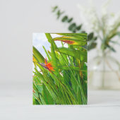 Strelitzia Reginae & Leaves Briefkaart (Staand voorkant)