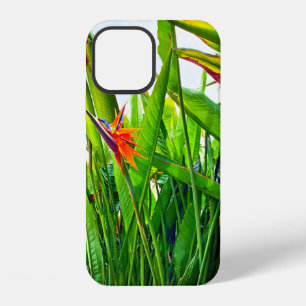 Strelitzia Reginae & Leaves iPhone 12 Hoesje