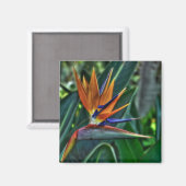 Strelitzia - Tenerife Flower Magneet (Voorkant / Achterkant)