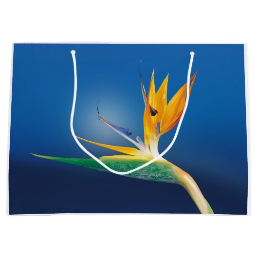 Strelitzia. Vogel van de paradijsbloem. Groot Cadeauzakje (Voorkant)