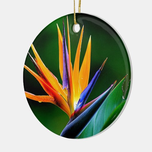 Strelitzia. Vogel van de paradijsbloem. Keramisch Ornament (Links)
