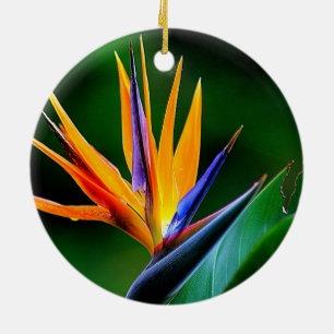 Strelitzia. Vogel van de paradijsbloem. Keramisch Ornament
