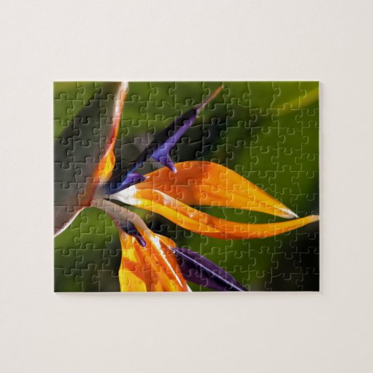 Strelitzia. Vogel van de paradijsbloem. Legpuzzel (Horizontaal)