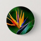 Strelitzia. Vogel van de paradijsbloem. Ronde Button 5,7 Cm (Voorkant)