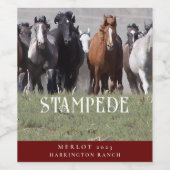 strempede Westerne Etiketten voor aangepaste wijn (Enkel label)