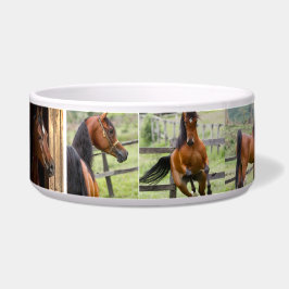 Strength, Courage and Power Voerbakje