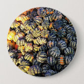Strepen En Pompoenen Ronde Button 4,0 Cm (Voorkant)