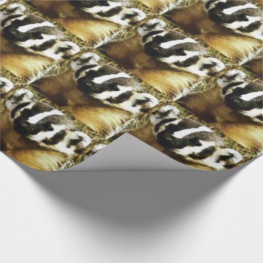 strepen van de badger cadeaupapier (Hoek)