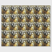 strepen van de badger cadeaupapier (Vlak)