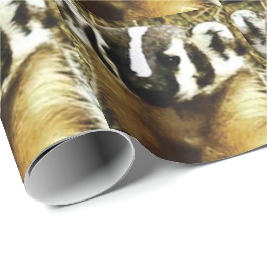 strepen van de badger cadeaupapier (Rol Hoek)