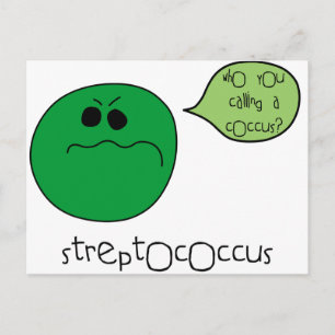Streptococcus Briefkaart
