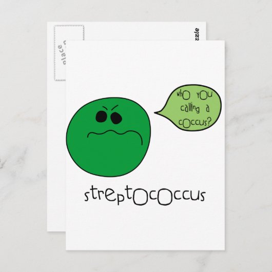 Streptococcus Briefkaart (Voorkant / Achterkant)