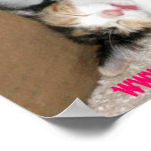 Stress? CUTE KITTEN POSTER (Hoek)