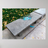 Stress-Eating op campus Poster (Voorkant)