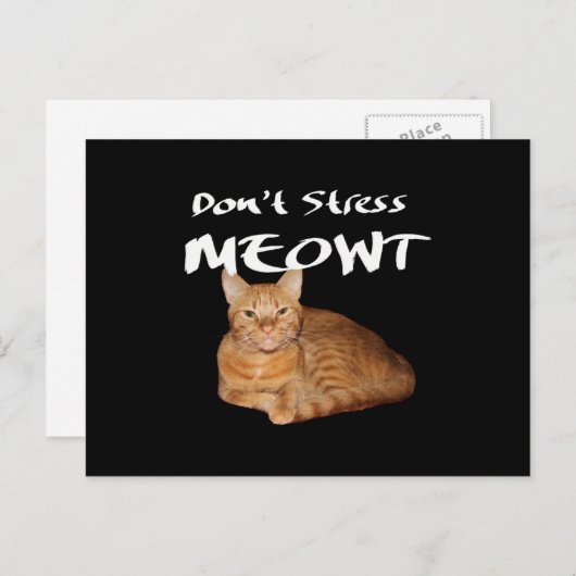 Stress Meowt niet - Oranje kat zet me uit Briefkaart (Voorkant / Achterkant)