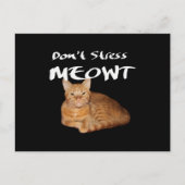 Stress Meowt niet - Oranje kat zet me uit Briefkaart (Voorkant)