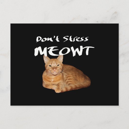 Stress Meowt niet - Oranje kat zet me uit Briefkaart (Voorkant)
