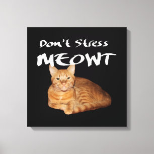Stress Meowt niet - Oranje kat zet me uit Canvas Afdruk