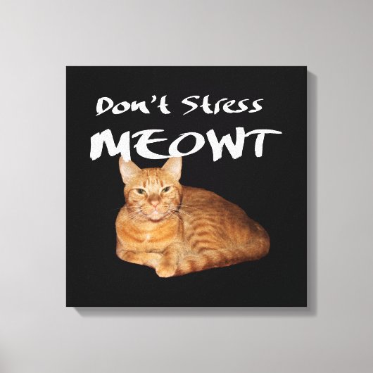 Stress Meowt niet - Oranje kat zet me uit Canvas Afdruk (Voorkant)