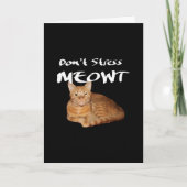 Stress Meowt niet - Oranje kat zet me uit Kaart (Voorkant)