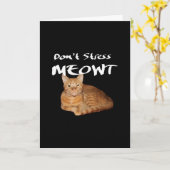 Stress Meowt niet - Oranje kat zet me uit Kaart (Gele Bloem)