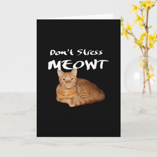 Stress Meowt niet - Oranje kat zet me uit Kaart (Gele Bloem)