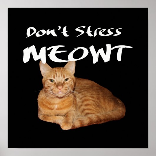 Stress Meowt niet - Oranje kat zet me uit Poster (Voorkant)