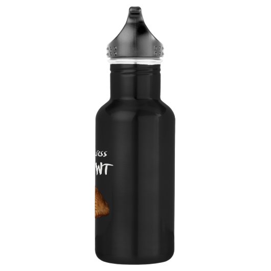 Stress Meowt niet - Oranje kat zet me uit Waterfles (Rechts)