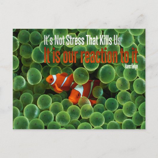 Stress-Motivatie Briefkaart (Voorkant)
