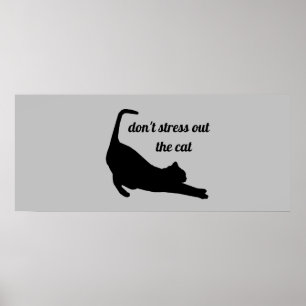 Stress niet tegen het Poster van de kat Funny