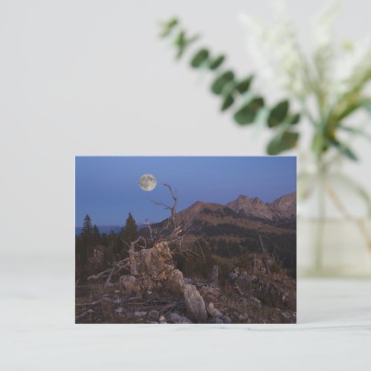 Stress van de nacht briefkaart (Staand voorkant)