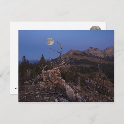 Stress van de nacht briefkaart (Voorkant / Achterkant)
